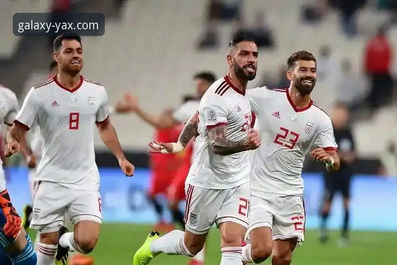 资深用户解析：从帕尼切利重伤看顶级赛事背后的风险与机遇